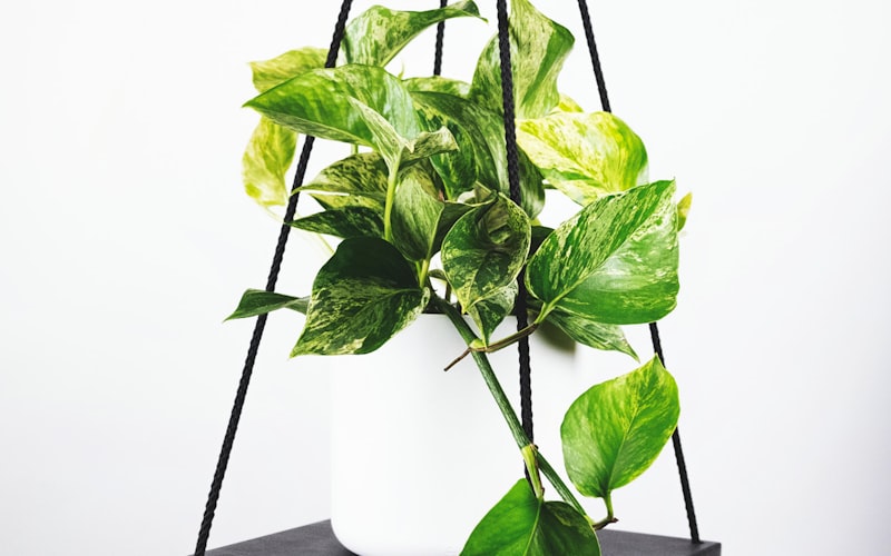 团队在现代化科技办公室讨论足球数据分析 - 充满协作与专业氛围